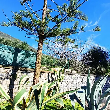 Le Coccinelle ヴィラ マラテーア