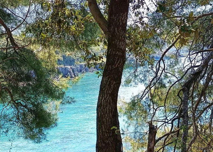 빌라 Le Coccinelle *