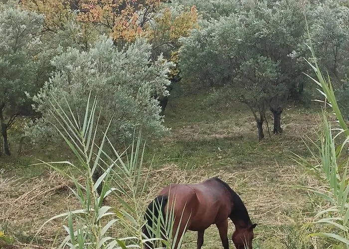 Le Coccinelle * Maratea